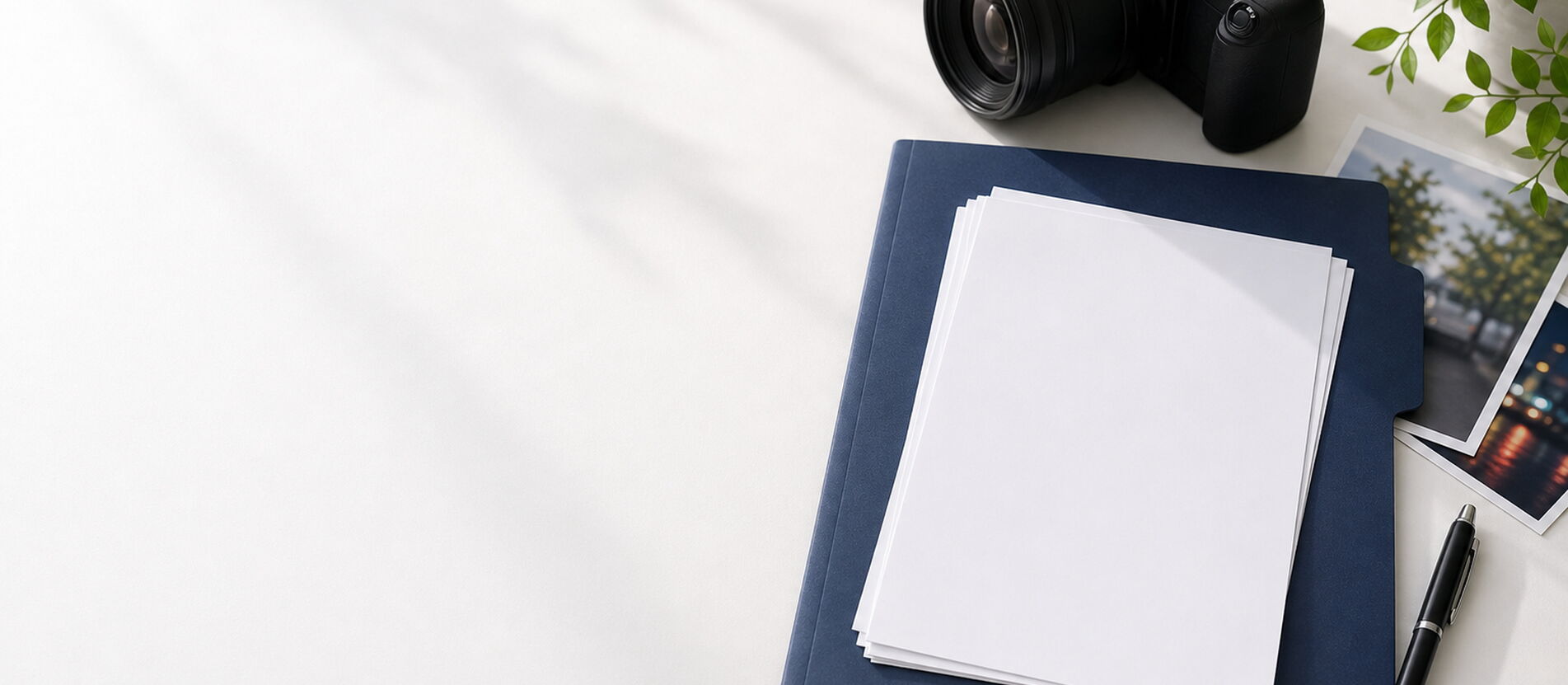 調査報告書を確認するイメージ